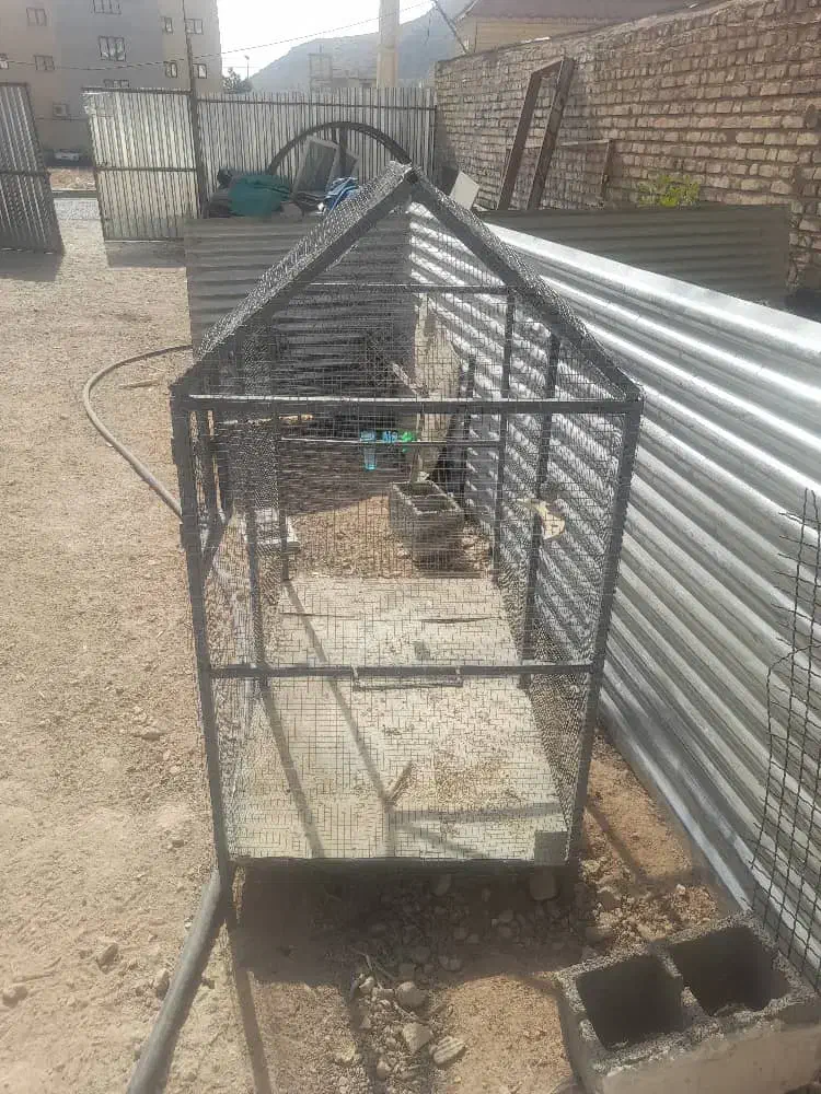 قفس|لوازم جانبی حیوانات|صدرا-فارس, فاز ۱|دیوار