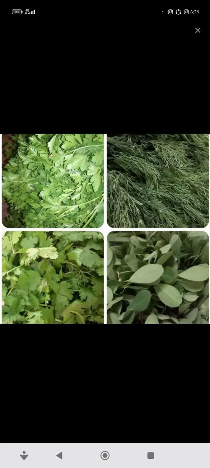 سبزی خورشتی|خوردنی و آشامیدنی|نورآباد, |دیوار