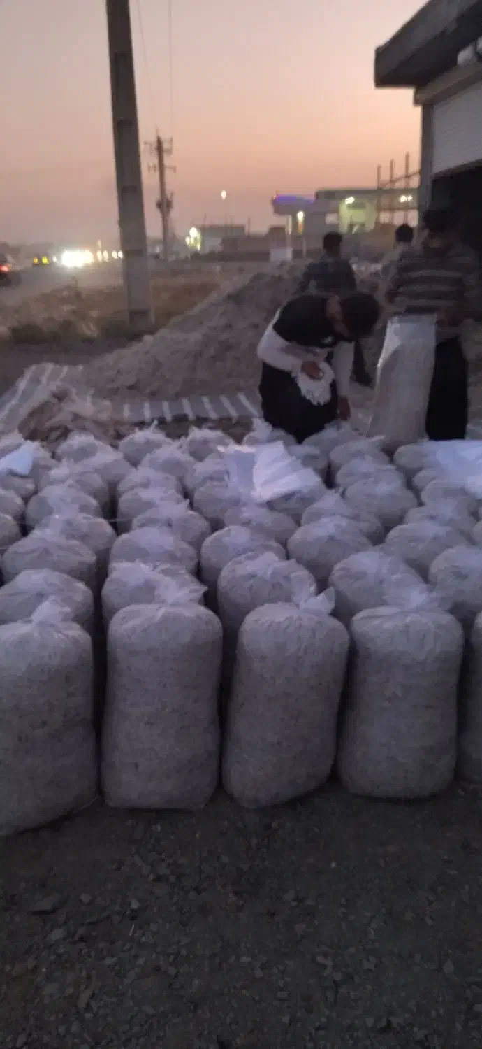 تفاله چغندر درجه یک|حیوانات مزرعه|پارس‌آباد, |دیوار