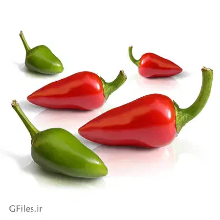 فلفل سبز و قرمز|خوردنی و آشامیدنی|سبزوار, نواب صفوی|دیوار