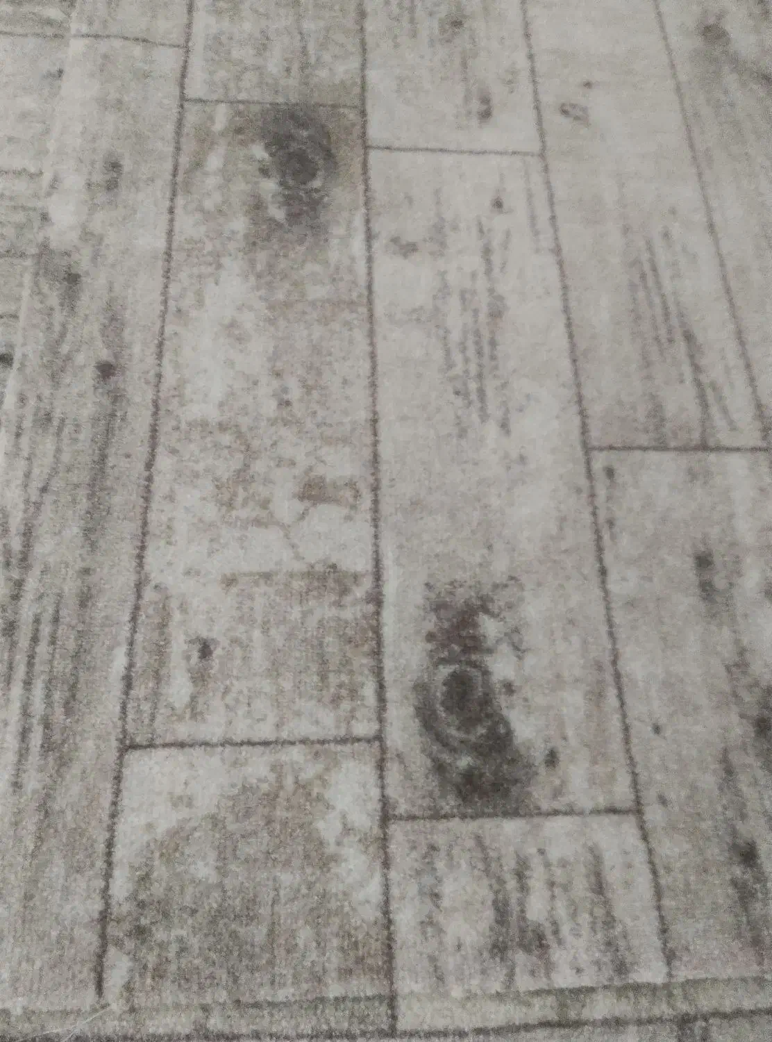 موکت|موکت|باقرشهر, |دیوار