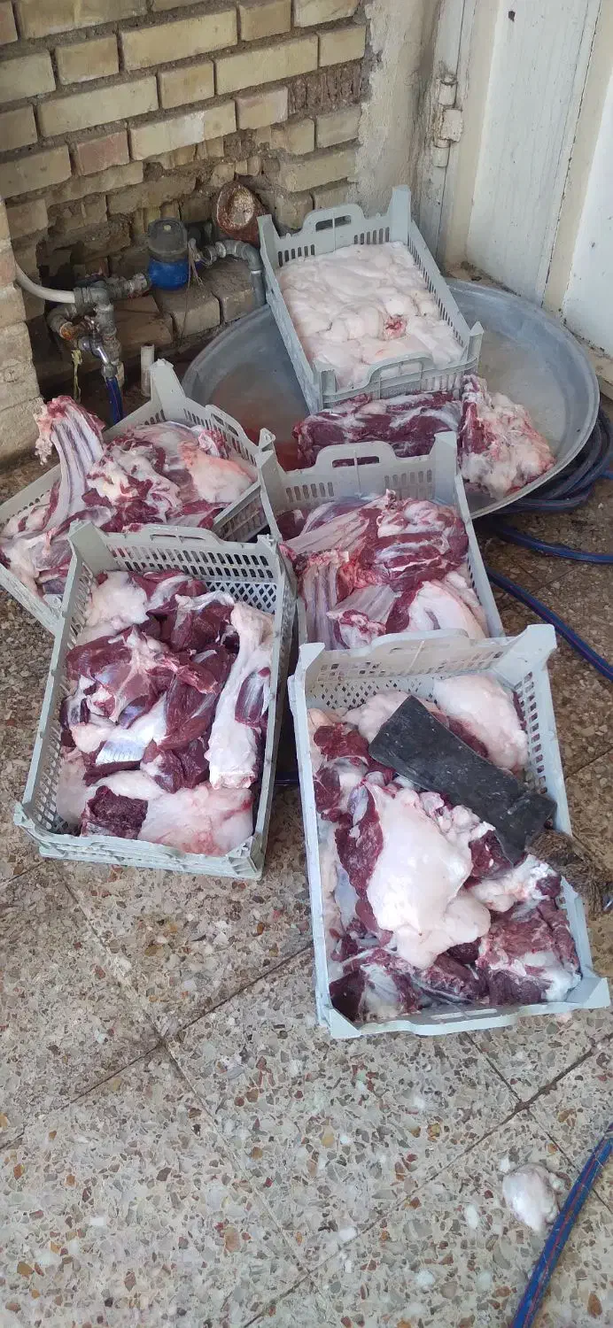 قصاب سیار هستم|خدمات پذیرایی، مراسم|دزفول, |دیوار