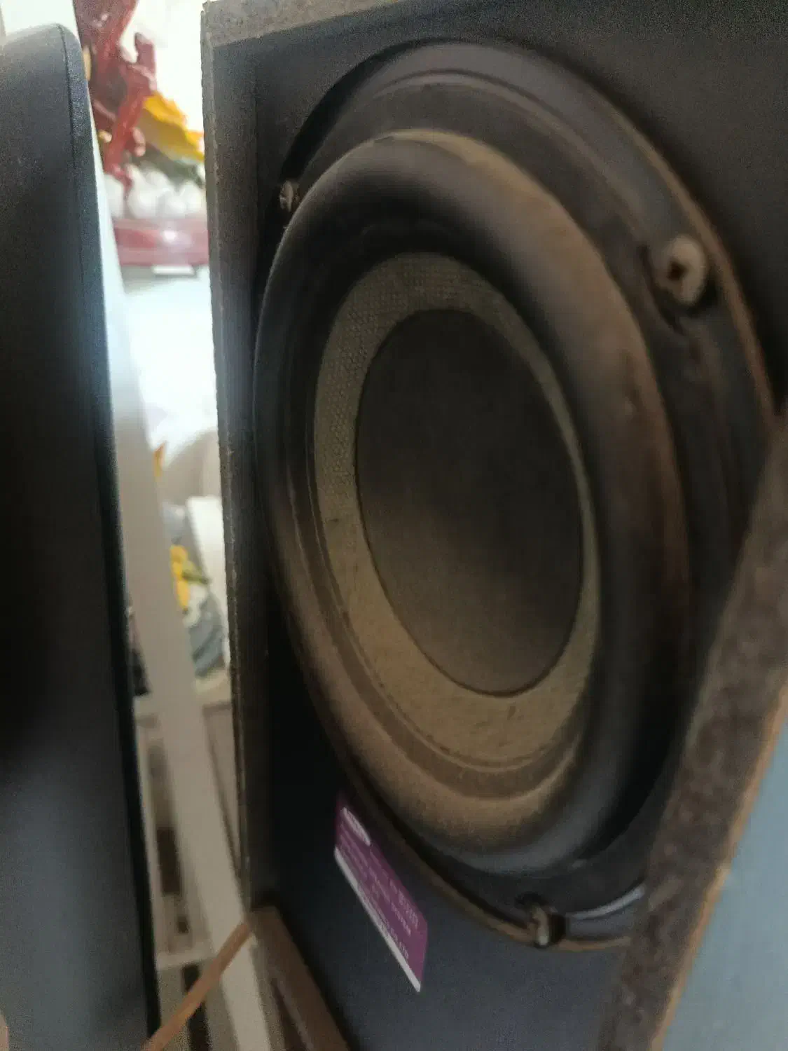 اسپیکر خانگی|سیستم صوتی خانگی|ملارد, |دیوار