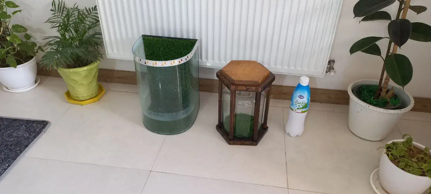 آکواریوم خاص|ماهی|زاهدان, |دیوار