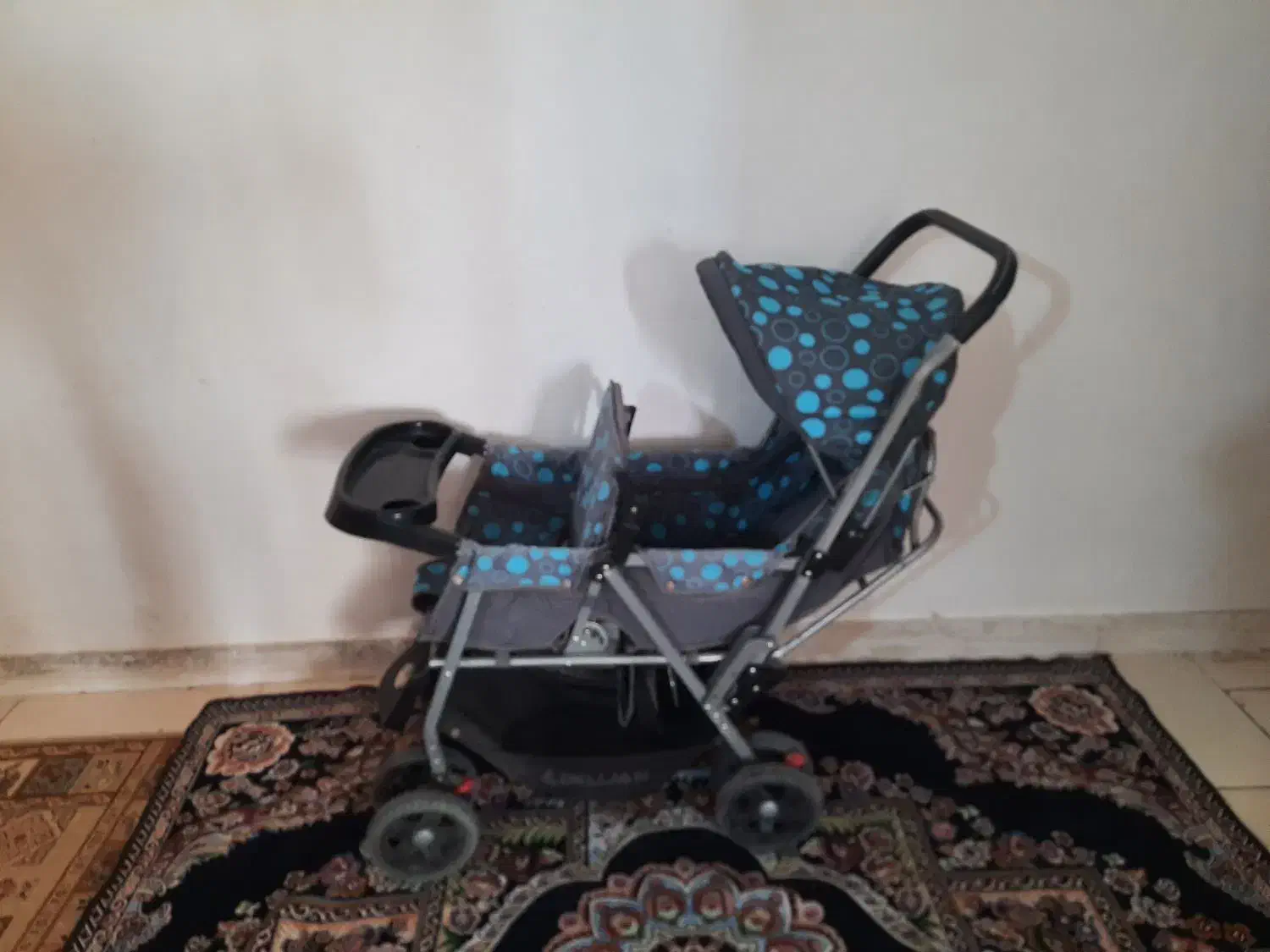 کالسکه دوقلو دلیجان|کالسکه و لوازم جانبی|صدرا-فارس, فاز ۱|دیوار