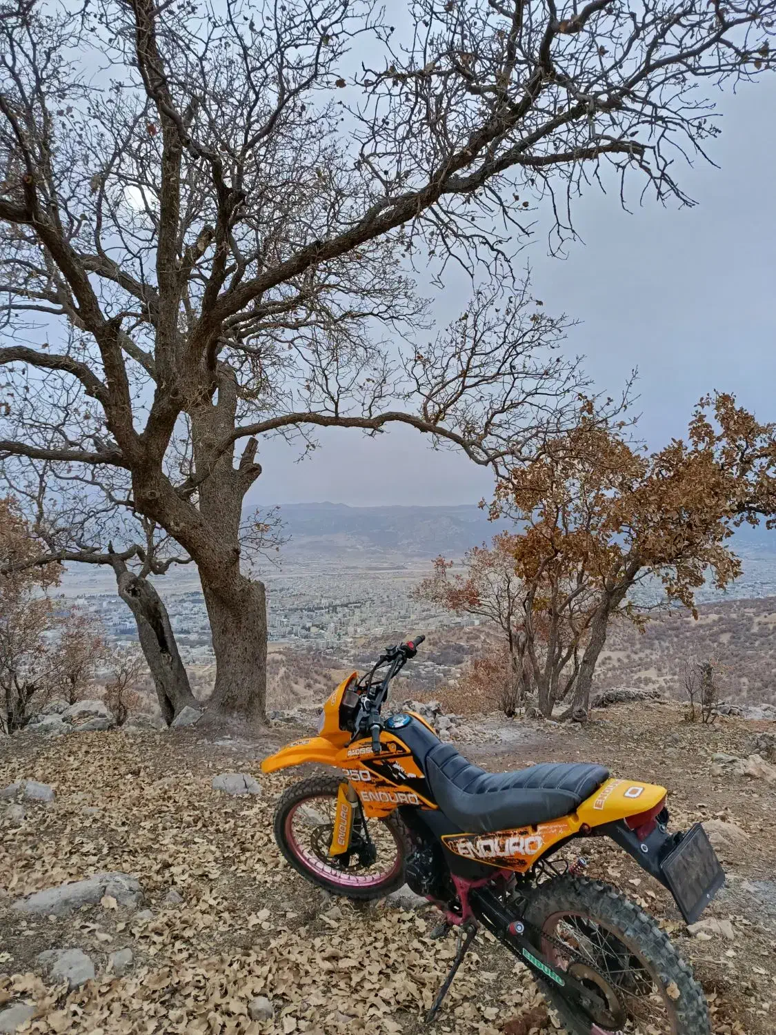 موتور رادیسون 250|موتورسیکلت|یاسوج, |دیوار