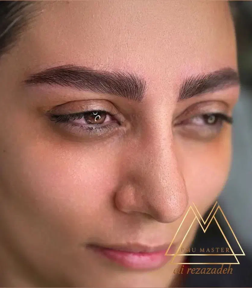 مدل میکروبلیدینگ و خط چشم  شیدینگ لب فقط۲۰۰ دستیار|خدمات آرایشگری و زیبایی|تهران, افسریه جنوبی|دیوار