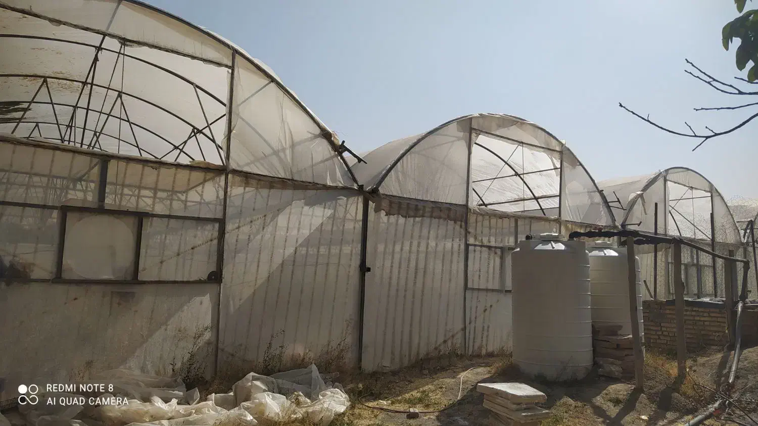 سازه گلخانه|عمده‌فروشی|جلگه رخ, |دیوار