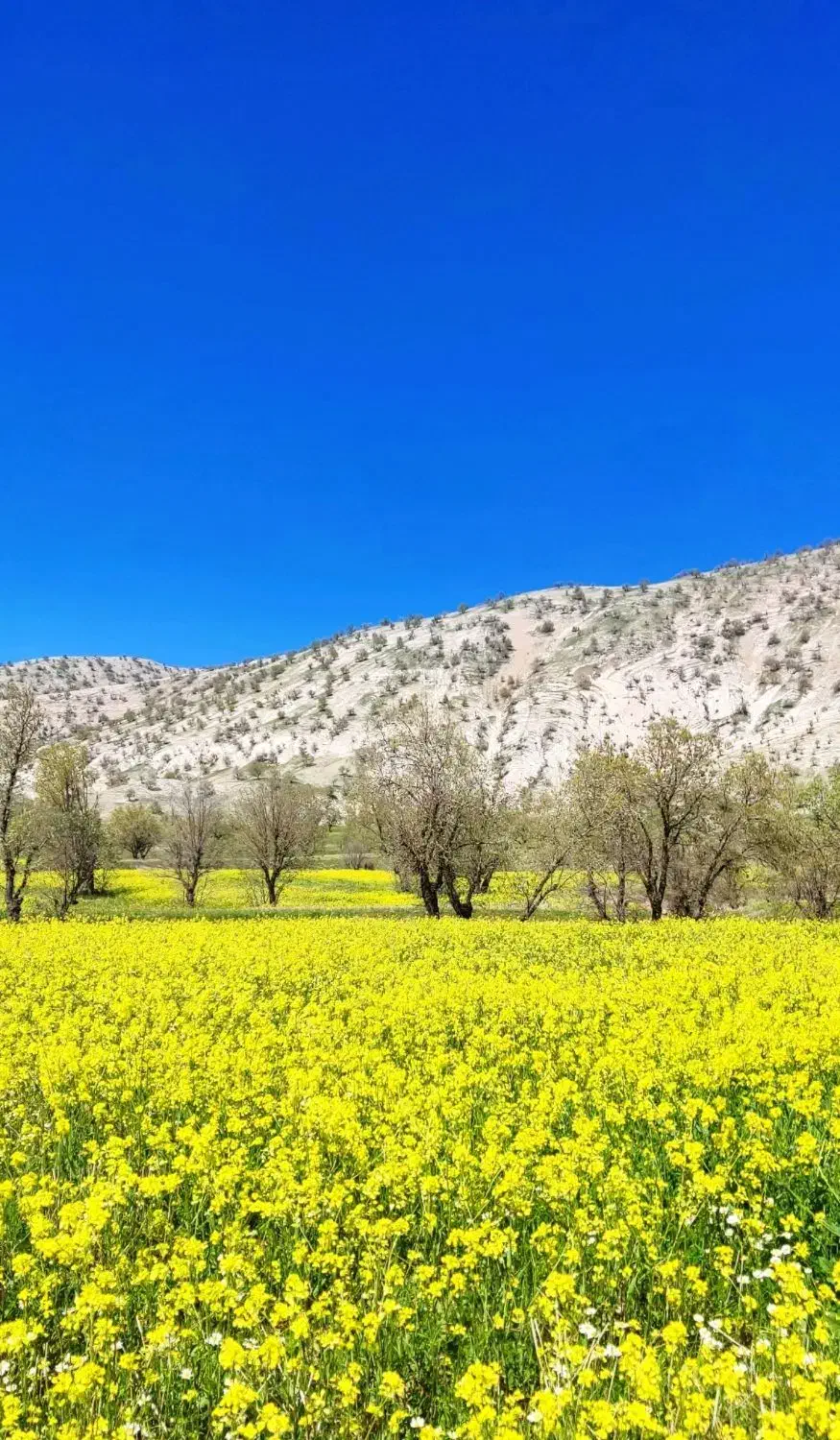 سفر یک روزه به مریوان|تور و چارتر|سنندج, |دیوار