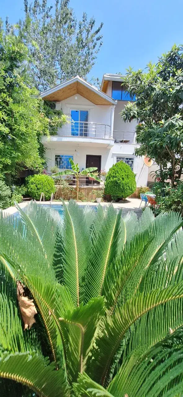 خریدویلاباغ دوبلکس استخردار جنگلی نور اقساطی|فروش خانه و ویلا|نور, |دیوار