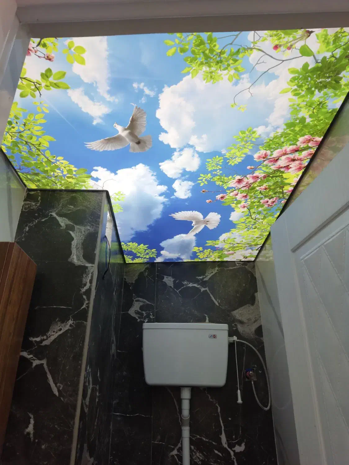 سقف کشسان|مصالح و تجهیزات ساختمان|قائمشهر, |دیوار