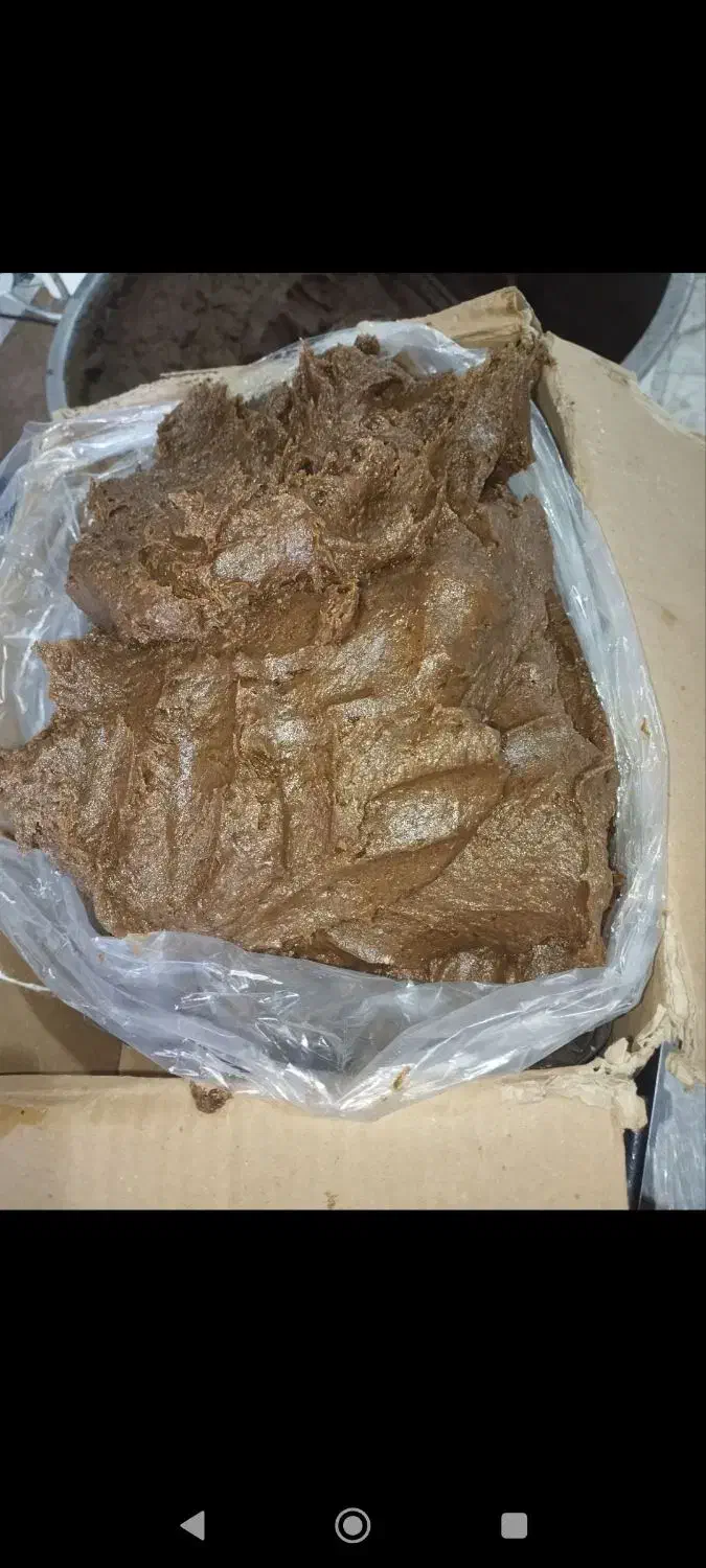 نیازمند سرمایه گذار|فعالیت داوطلبانه|ماهدشت, |دیوار