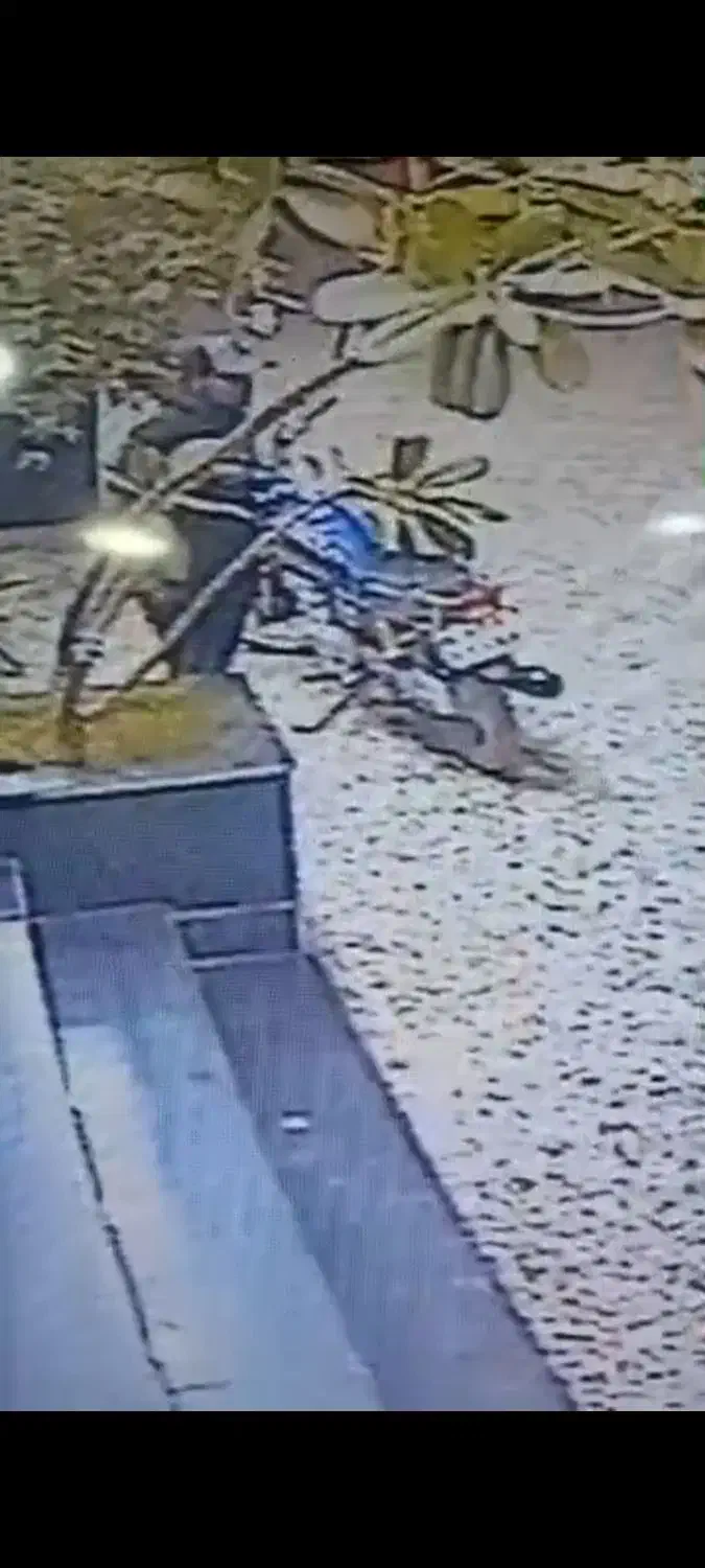 موتور دزدیده شده|اشیا|میناب, |دیوار