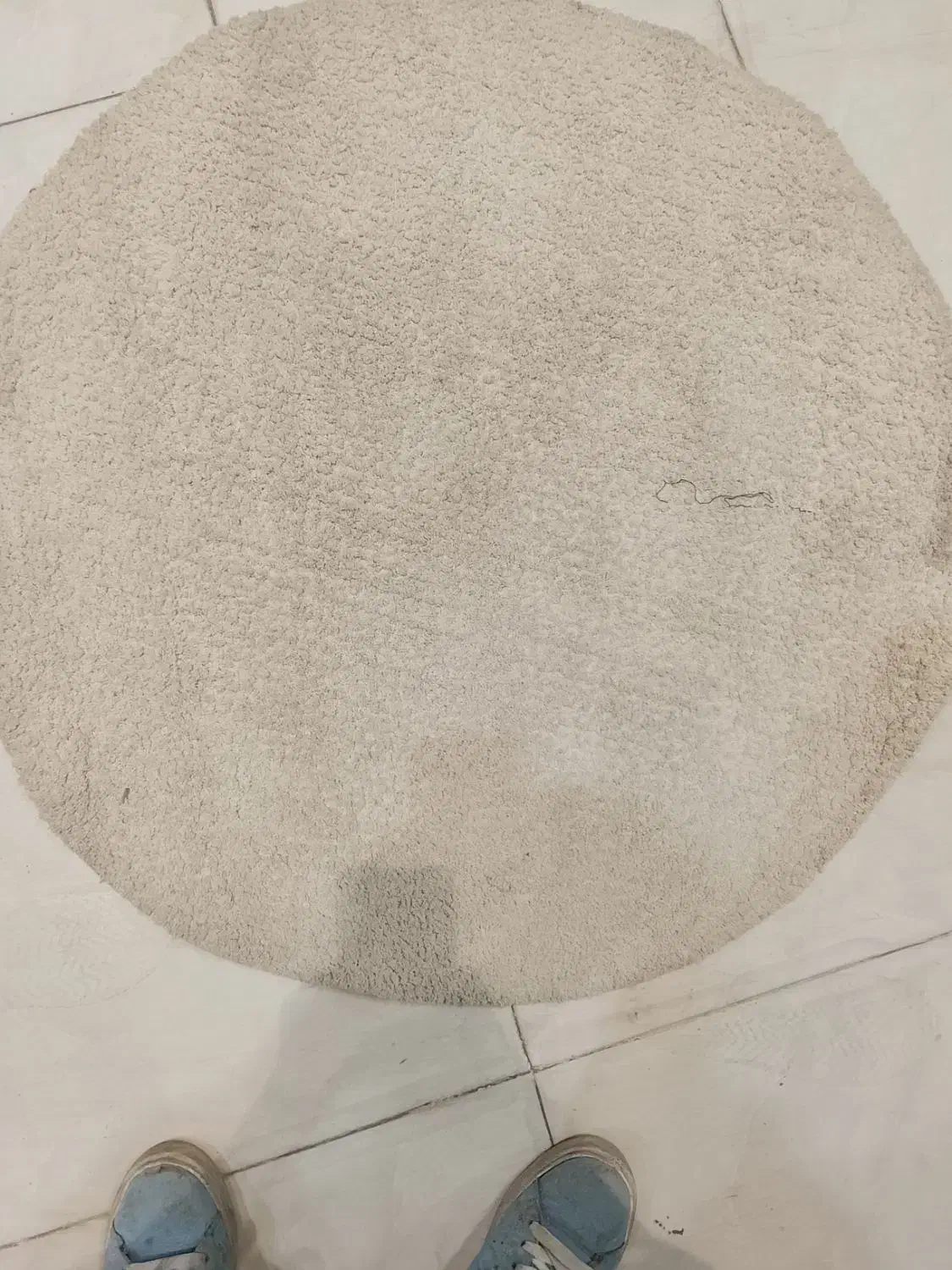 قالیچه گرد ۱|فرش|مشهد, شهید قربانی|دیوار