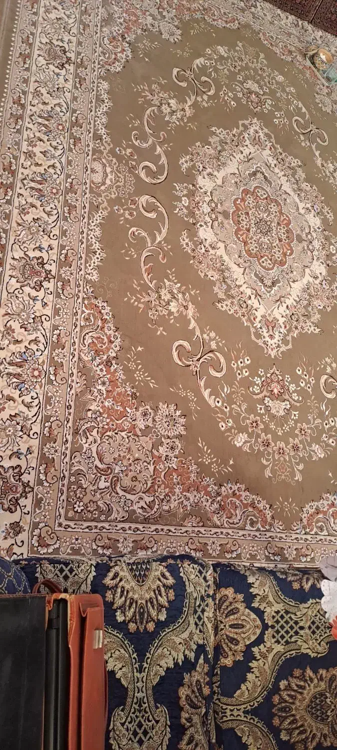 فرش|فرش|هشتگرد, شهرک راه آهن|دیوار