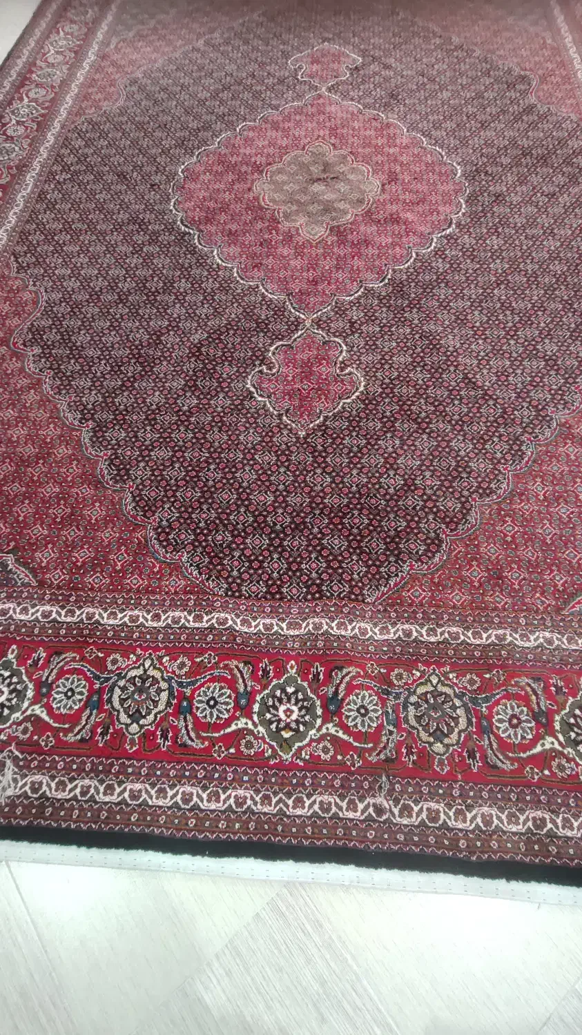 فرش ۳در۴ طرح ماهی|فرش|سقز, |دیوار