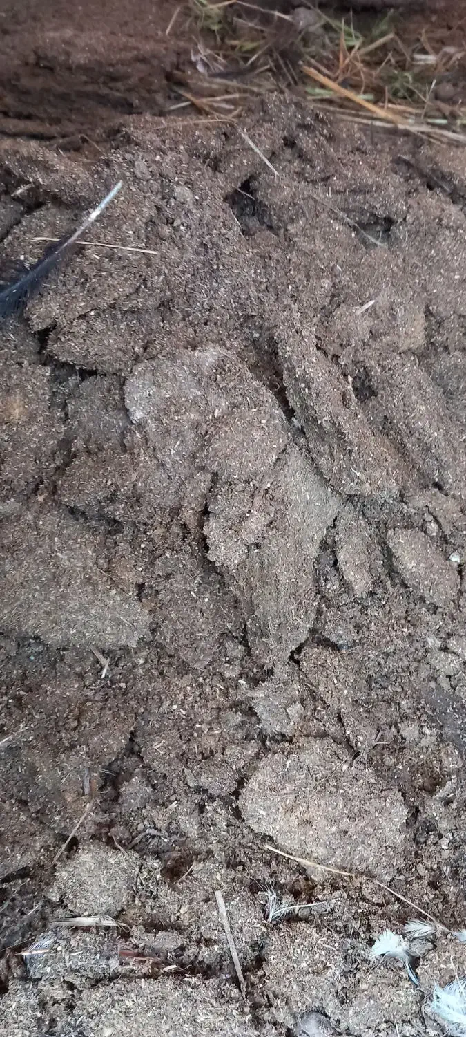 کود مرغی خالص و خاک برگ پوسیده|لوازم جانبی حیوانات|رشت, نخودچر|دیوار