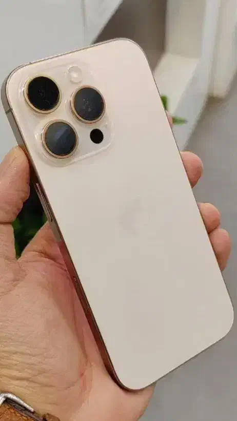 16pro 256|موبایل|بندرعباس, |دیوار