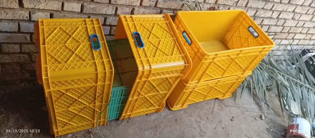 سبدنو برای ماهی فروشی|ظروف نگهدارنده، پلاستیکی، یک‌بارمصرف|آبادان, |دیوار