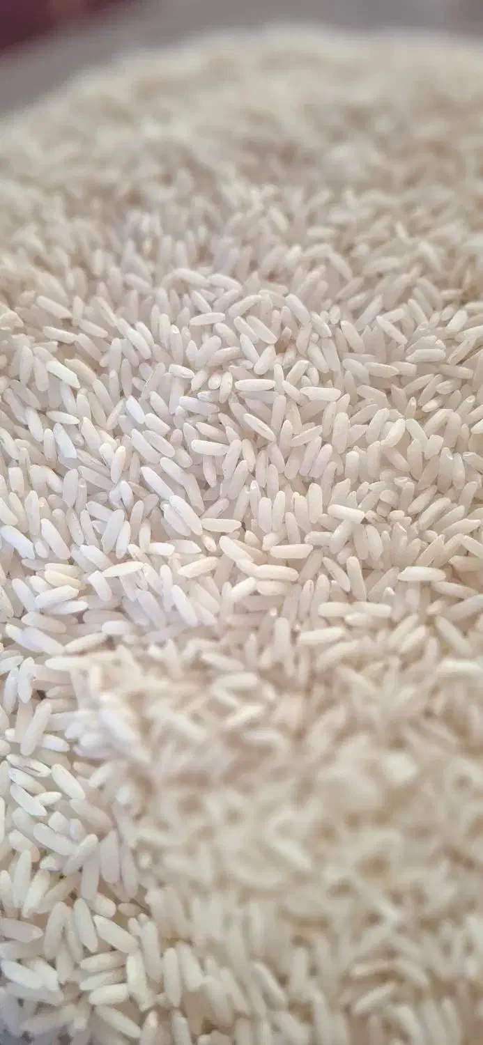 برنچ طارم محلی درجه یک|خوردنی و آشامیدنی|یزد, |دیوار