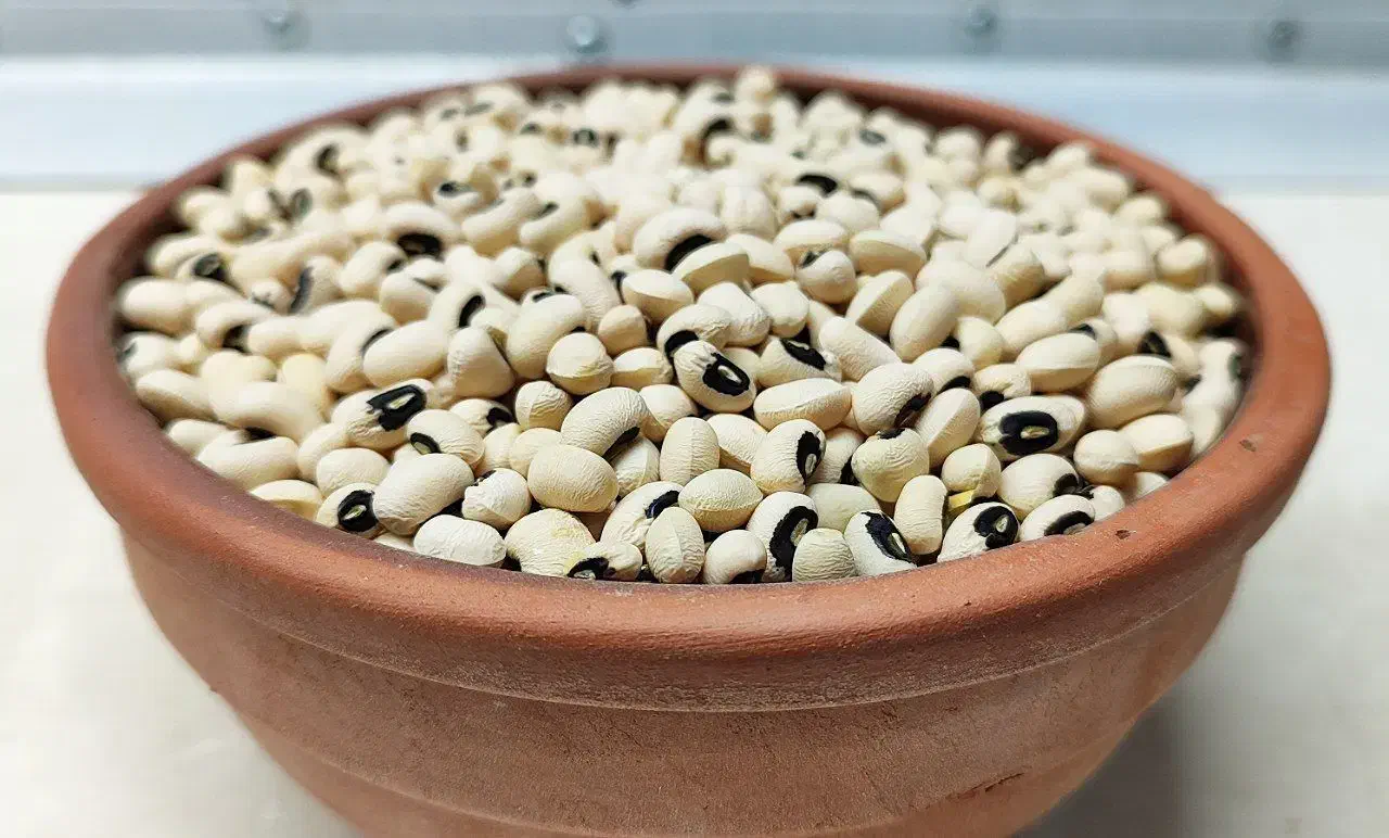 لوبیا چشم بلبلی درجه یک امسالی|خوردنی و آشامیدنی|سوری, |دیوار