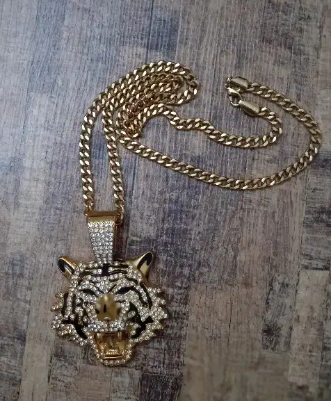 گردنبند رنگ ثابت ببر|بدلیجات|کرج, فاز ۳ گوهردشت|دیوار