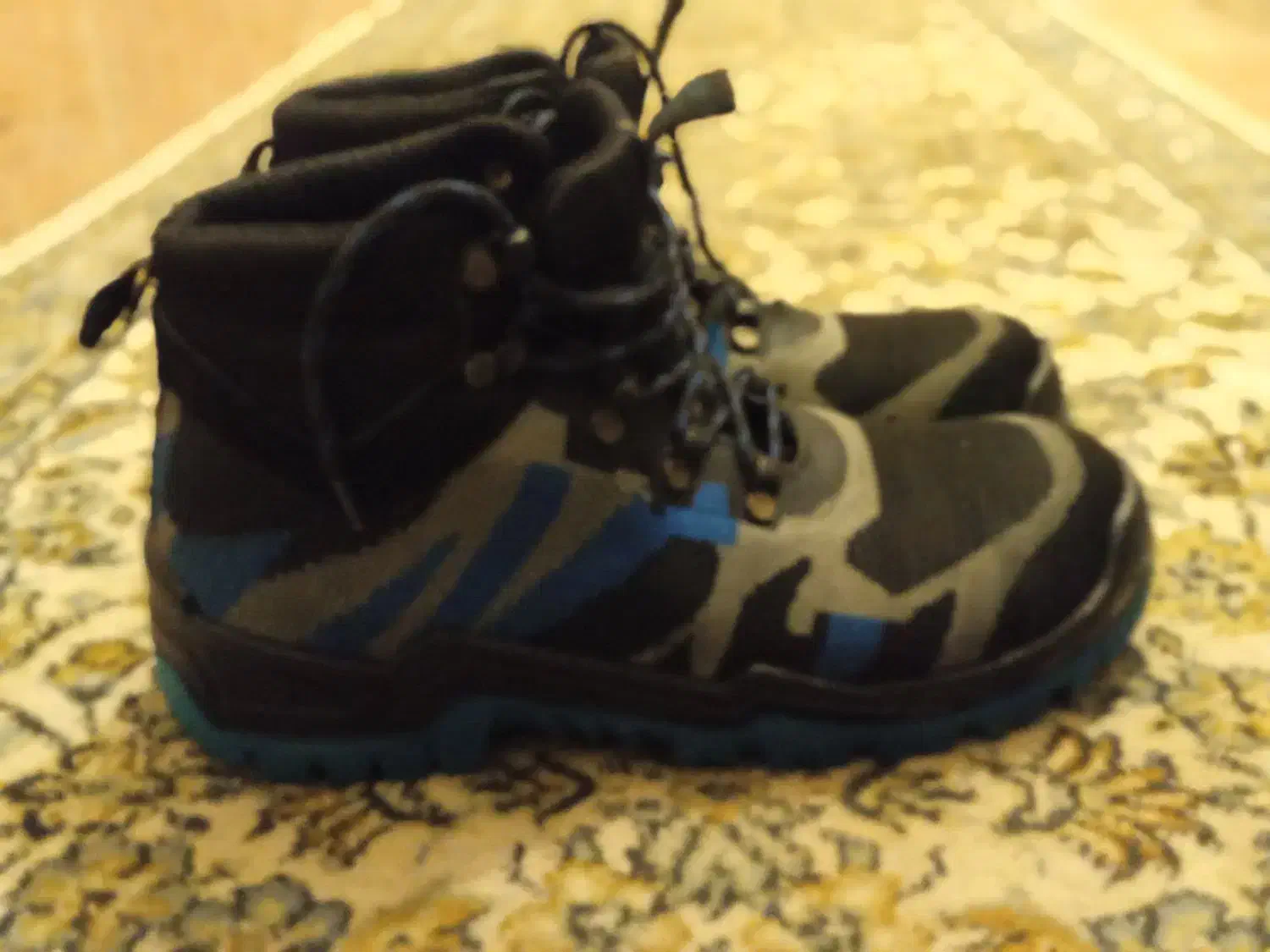 کتونی|کیف، کفش، کمربند|فشاپویه, |دیوار