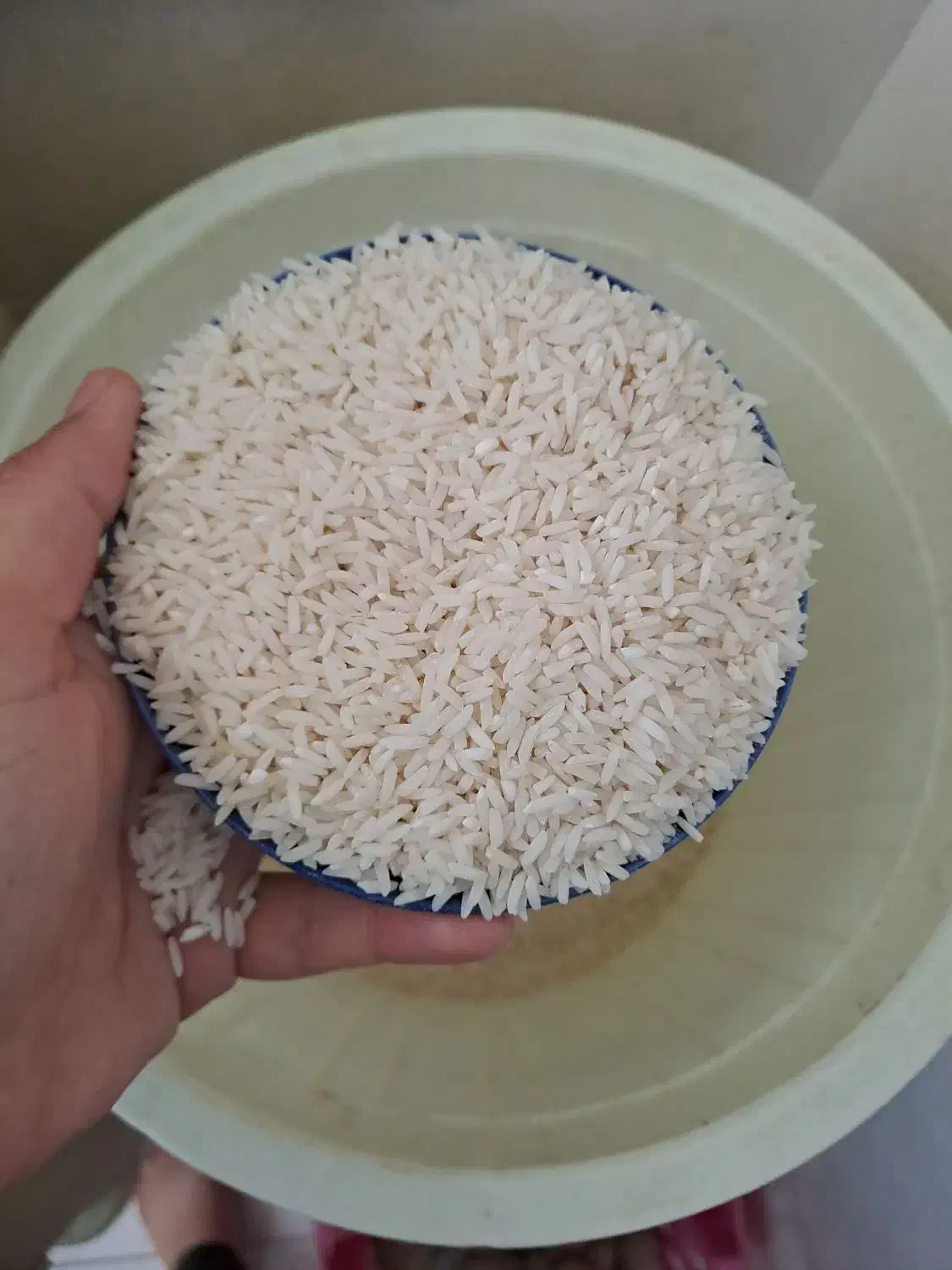 برنج طارم هاشمی اصل|خوردنی و آشامیدنی|ساری, |دیوار