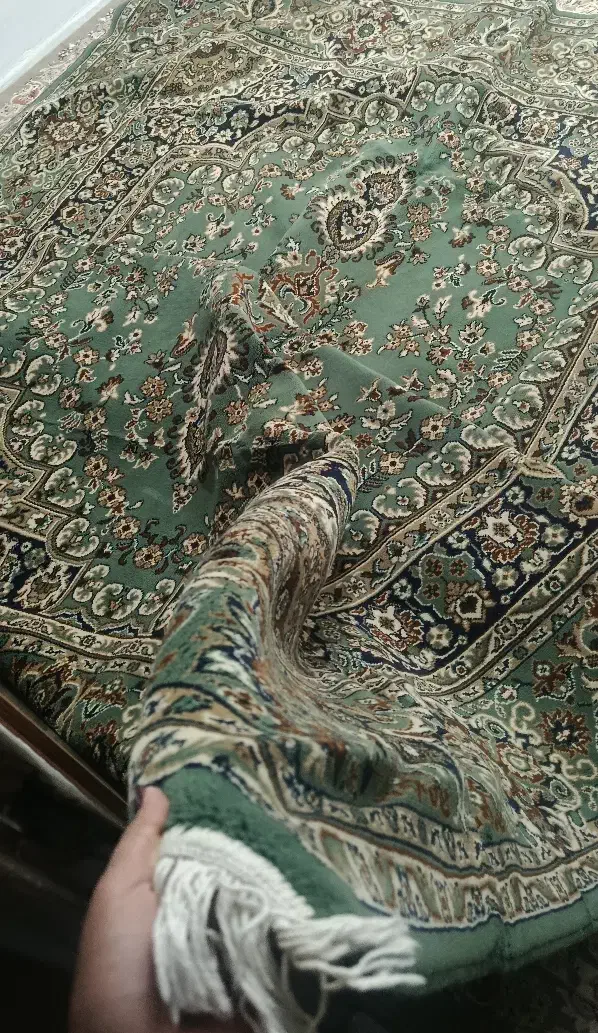 فرش ۹ متری سالم|فرش|تربت‌حیدریه, ابوذر|دیوار