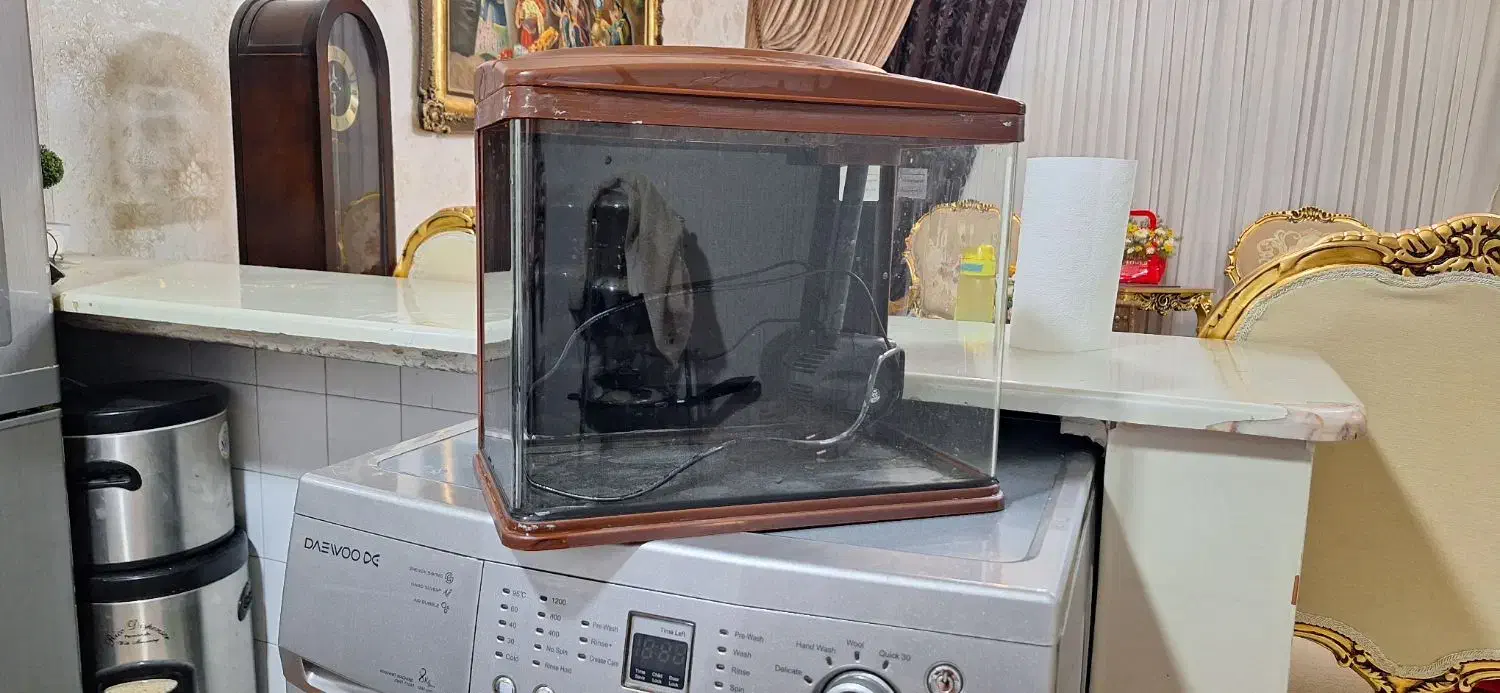 اکواریوم با لوازم|ماهی|مشهد, مصلی (کارمندان اول)|دیوار