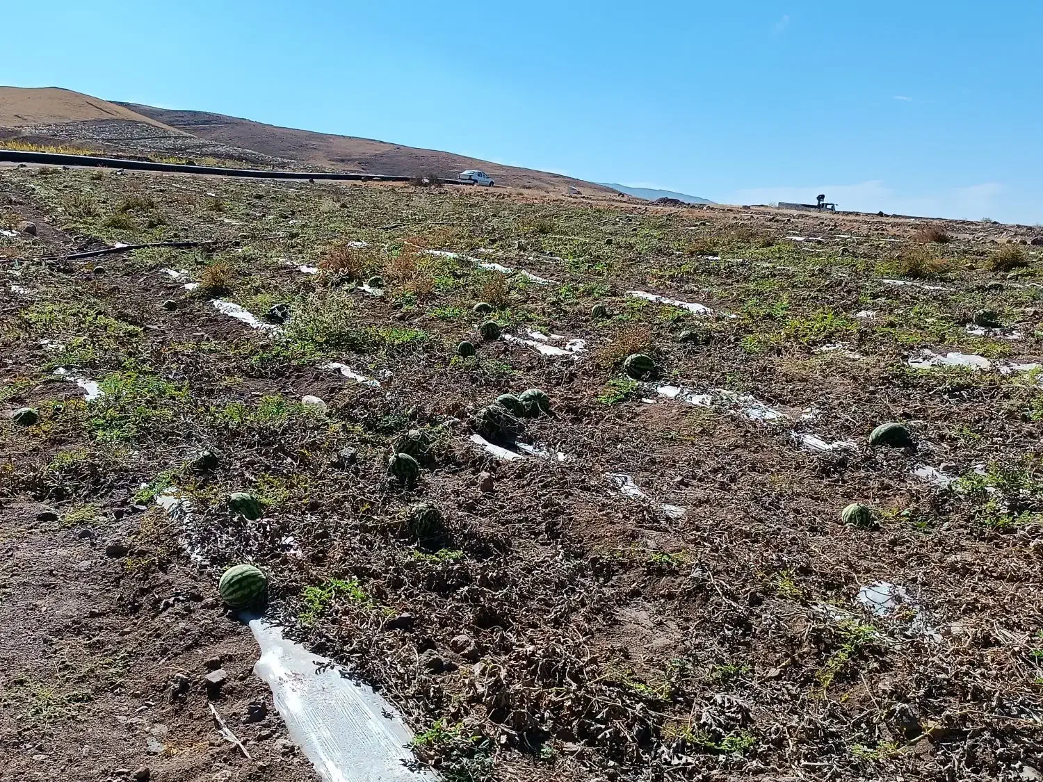 فروش زمین کشاورزی با اب|اجارهٔ دفتر صنعتی، کشاورزی، تجاری|میانه, |دیوار