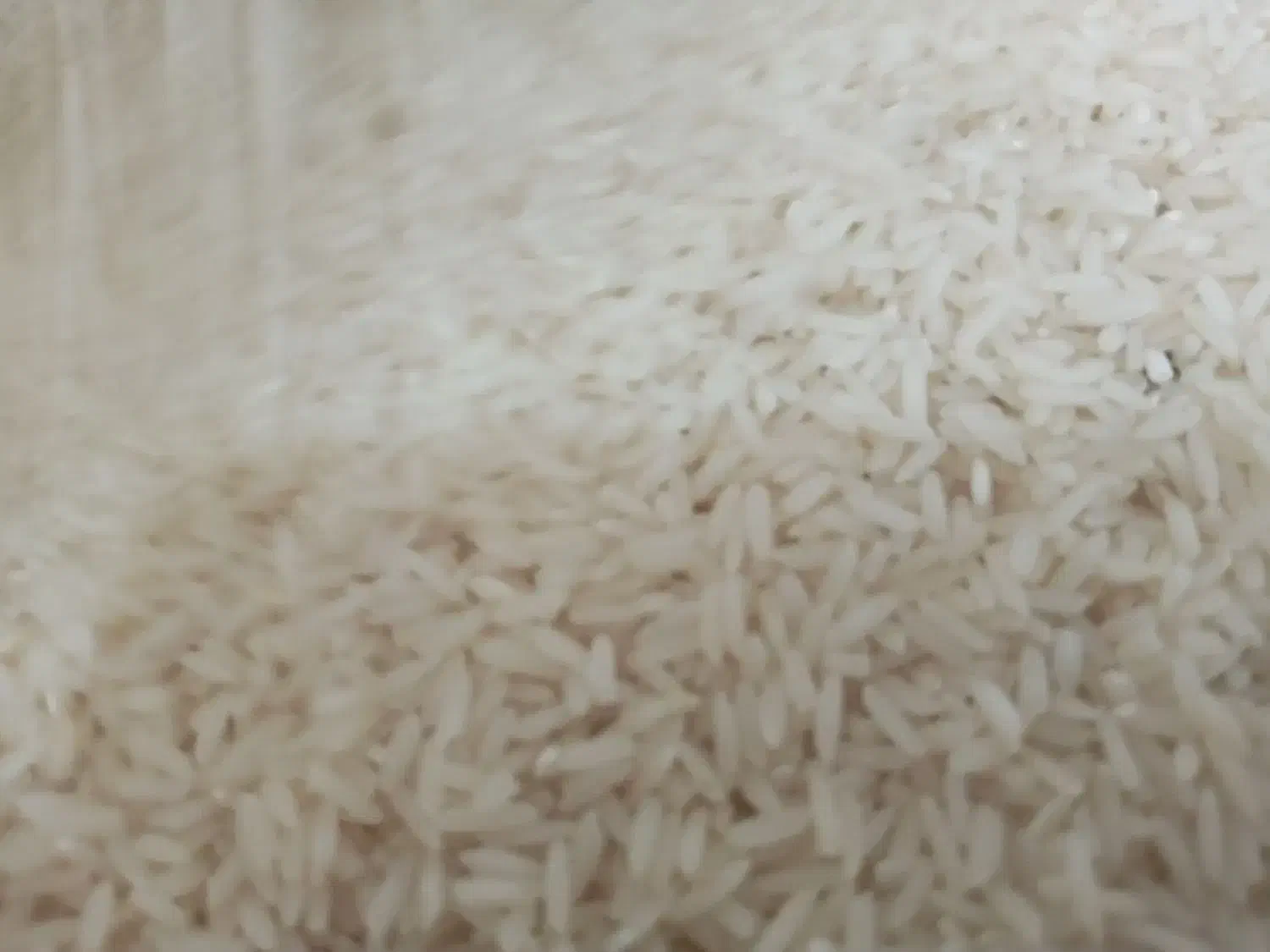 برنج بینام|خوردنی و آشامیدنی|قرق, |دیوار