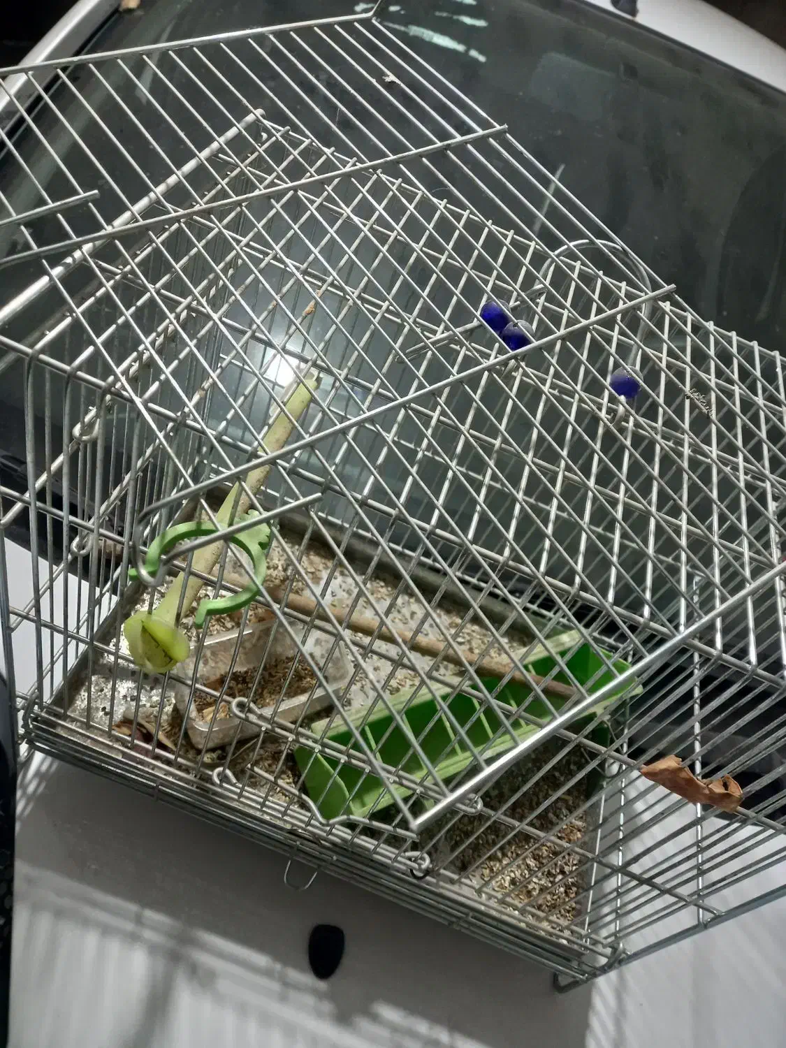 قفس پرنده|لوازم جانبی حیوانات|اصفهان, باغ دریاچه|دیوار