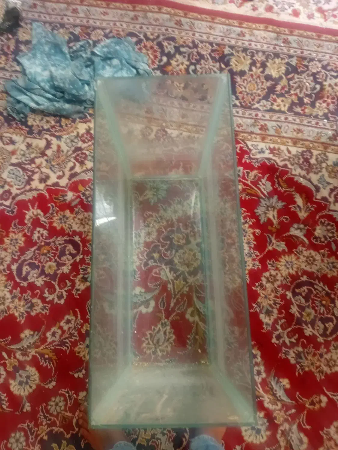 آکواریوم ماهی|ماهی|شیراز, کوشک میدان|دیوار