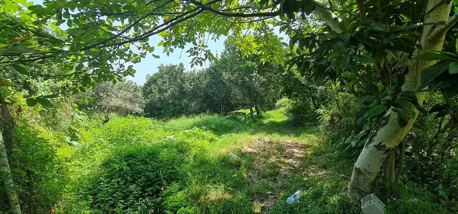 فروش ملک در منطقه آزاد اقتصادی شمال کشور|فروش زمین و ملک کلنگی|خرمآباد (تنکابن), |دیوار