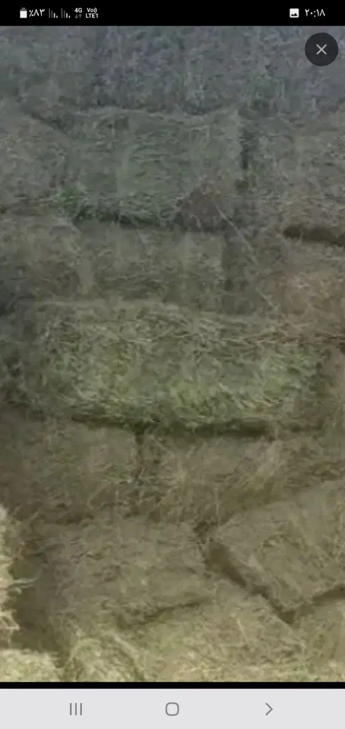 پرس یونجه|لوازم جانبی حیوانات|سیلاخور, |دیوار