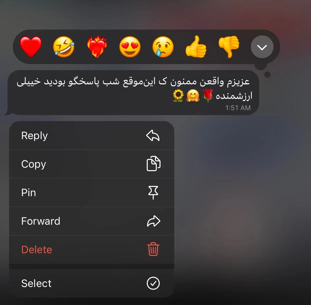 معلم خصوصی زبان انگلیسی|خدمات آموزشی|مشهد, گوهرشاد|دیوار
