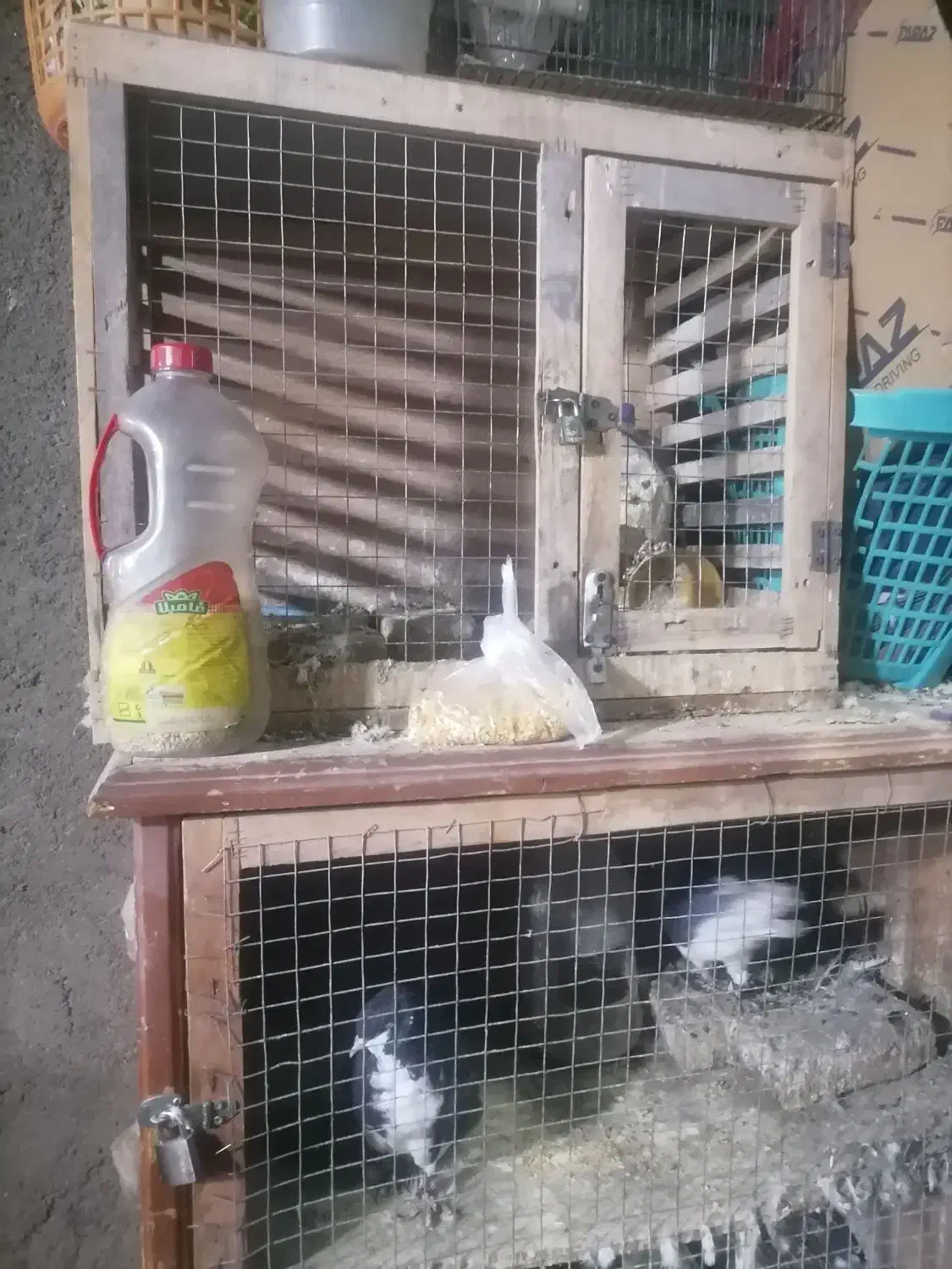 قفس واسه جفتگاه|لوازم جانبی حیوانات|سبزوار, باهنر|دیوار