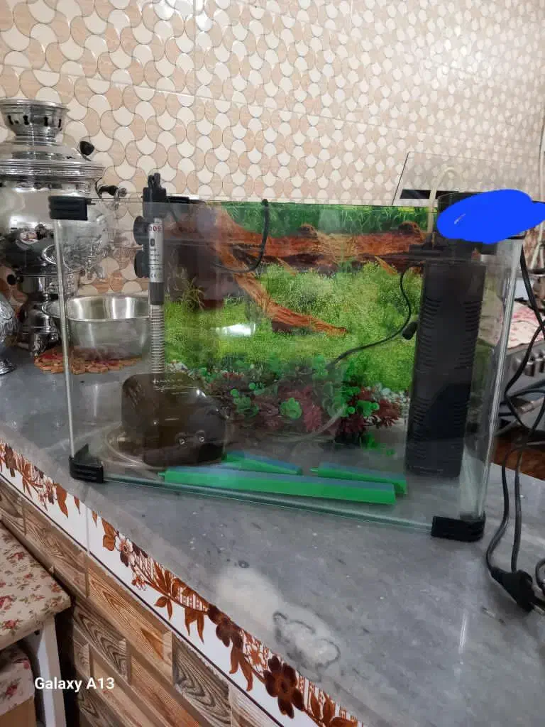 آکواریوم|ماهی|بستان آباد, |دیوار