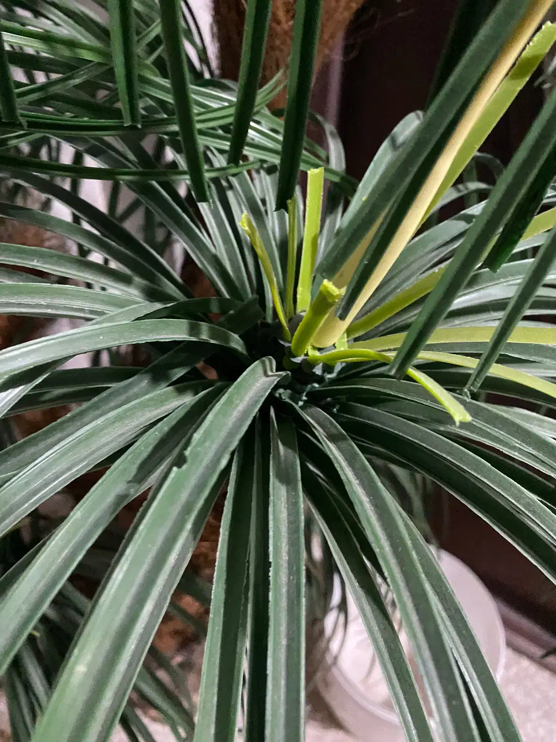 گل مصنوعی ،ابچکان|گل و گیاه طبیعی|بیرجند, |دیوار