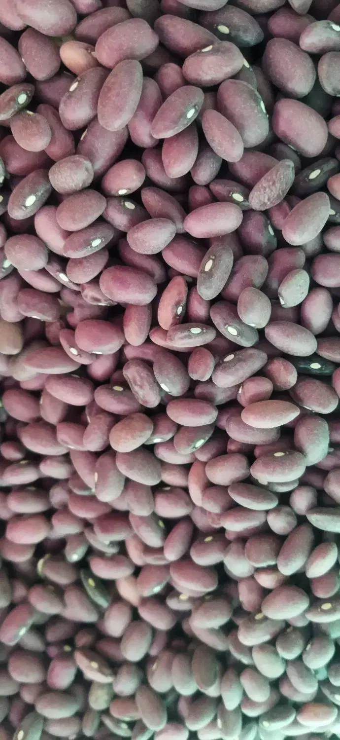 حبوبات|خوردنی و آشامیدنی|اصفهان, لیمجیر|دیوار
