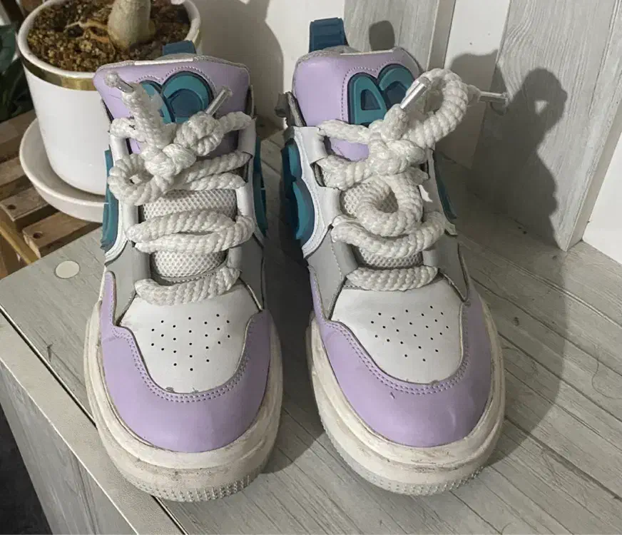 کفش|کیف، کفش، کمربند|شیراز, تل حسینآباد|دیوار