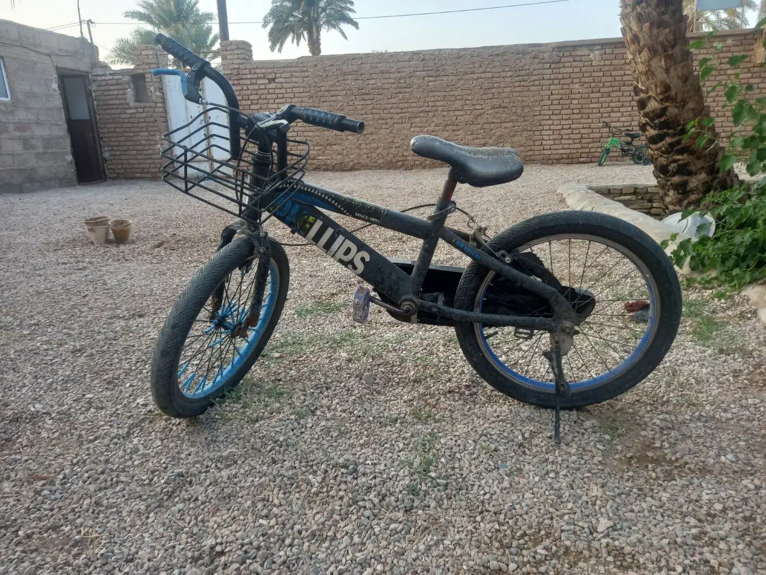 دوچرخه بیست فروشی|دوچرخه، اسکیت، اسکوتر|طبس, |دیوار