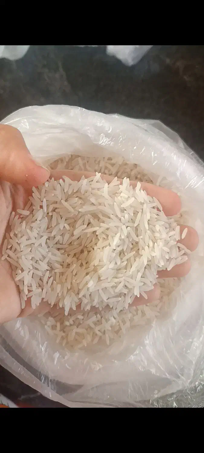 برنج‌فجرسوزنی|خوردنی و آشامیدنی|آق قلا, |دیوار