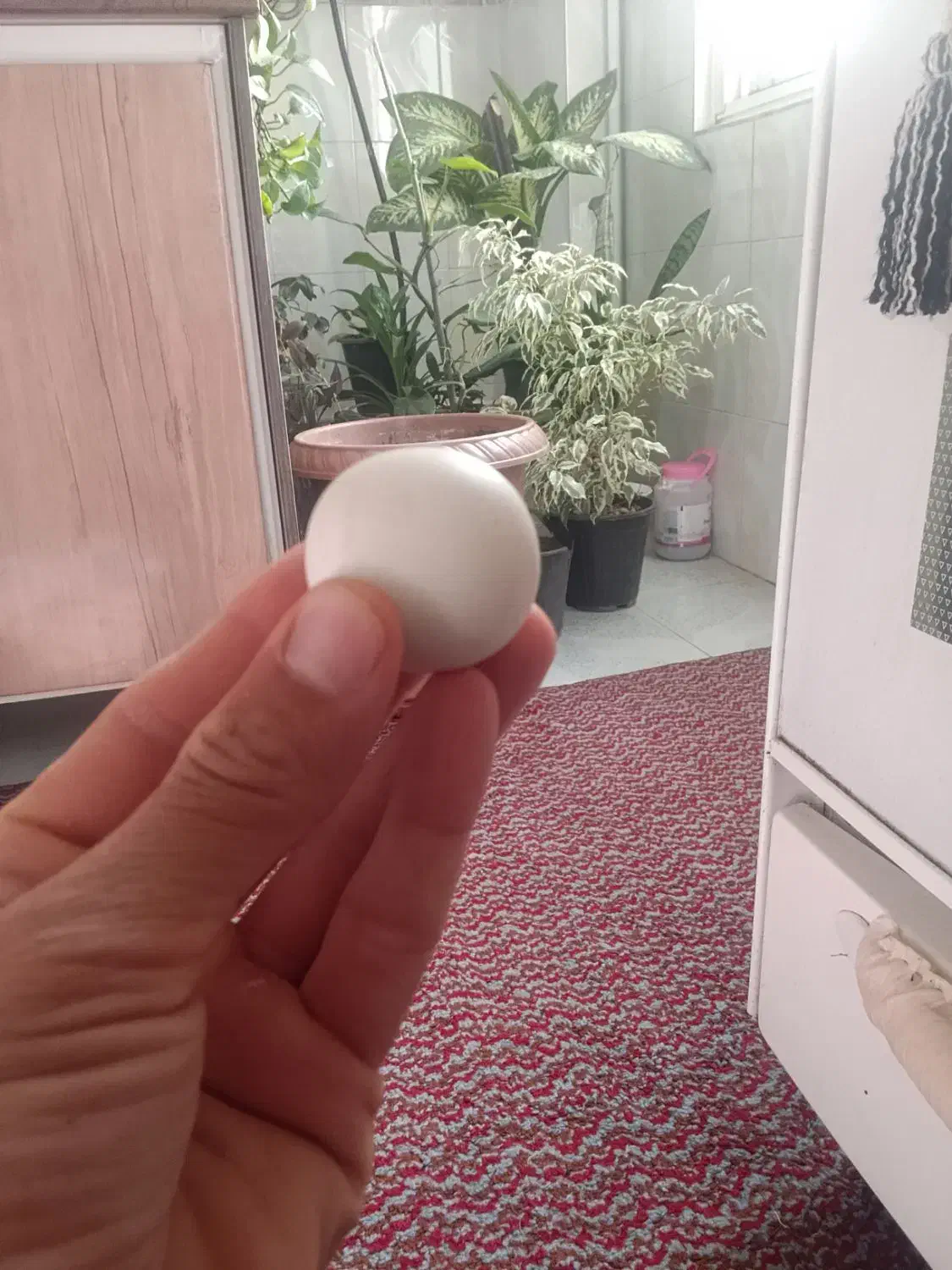 یک عدد سنگ الماس اسیاب|جواهرات|بومهن, |دیوار