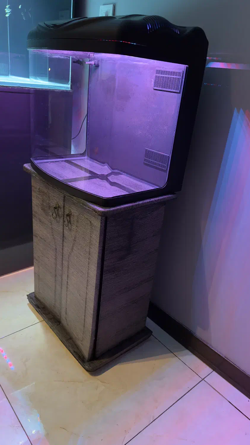 آکواریوم بک سامپ شرکتی با پایه|ماهی|تهران, آسمان|دیوار