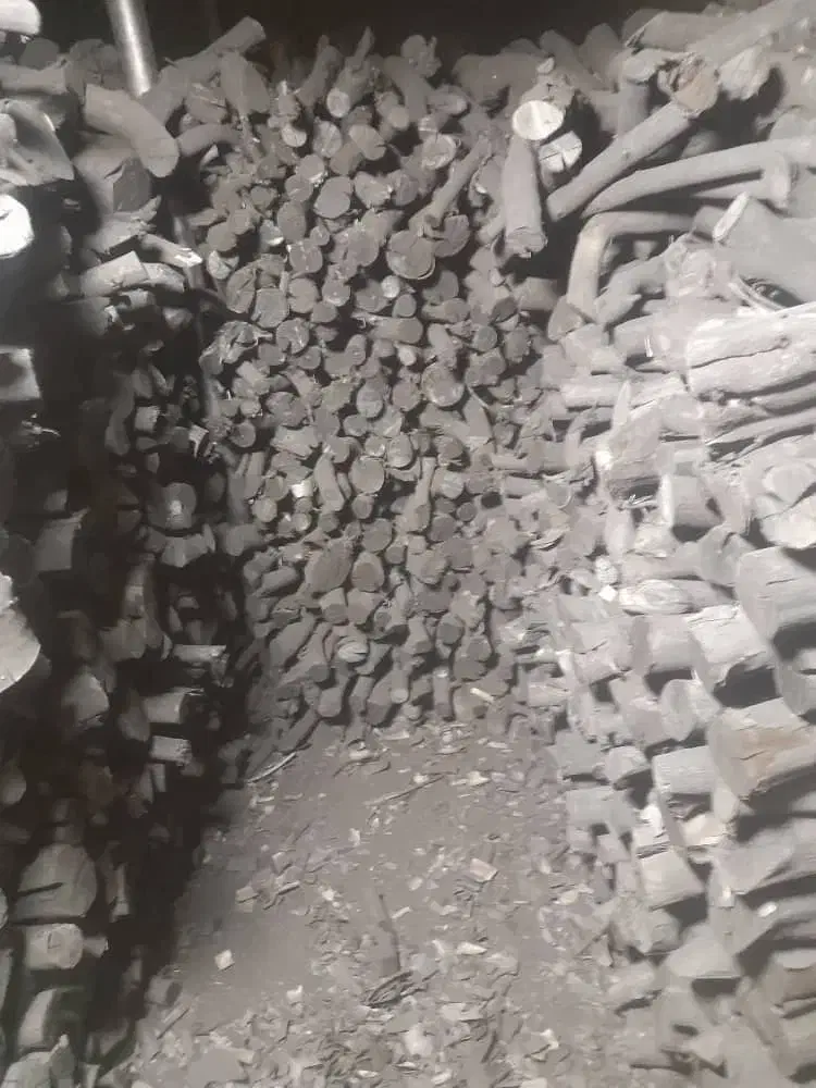 زغال چوب لیمو جنوب|خدمات باغبانی و درختکاری|مشهد, شیرودی|دیوار