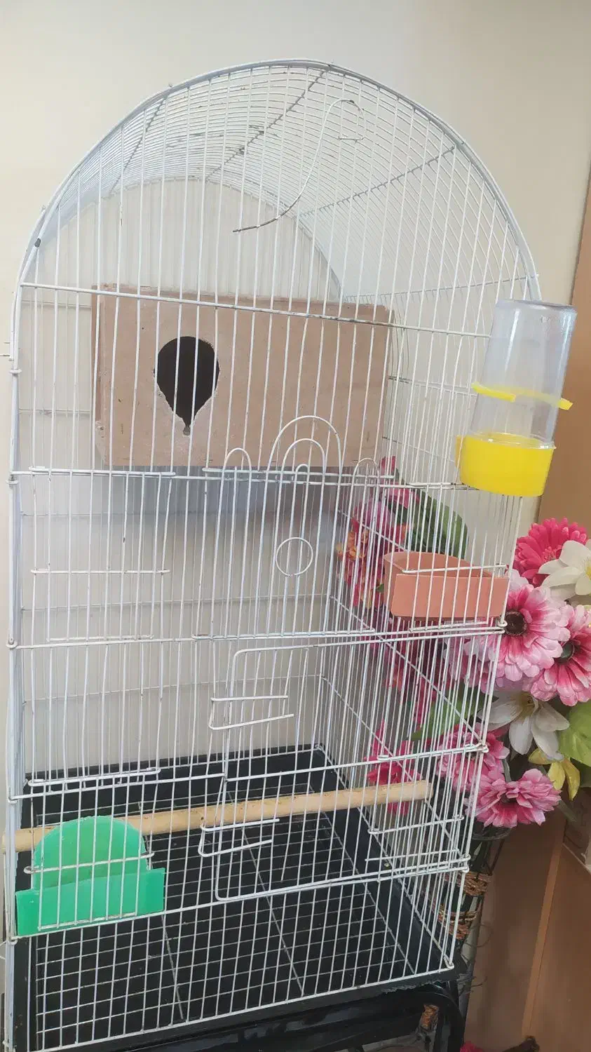 قفس سالم درحدنو و چهارپایه نو نو|لوازم جانبی حیوانات|اصفهان, جاوان|دیوار