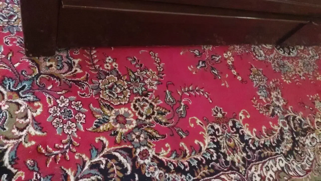 فرش در حد|فرش|بهار, |دیوار