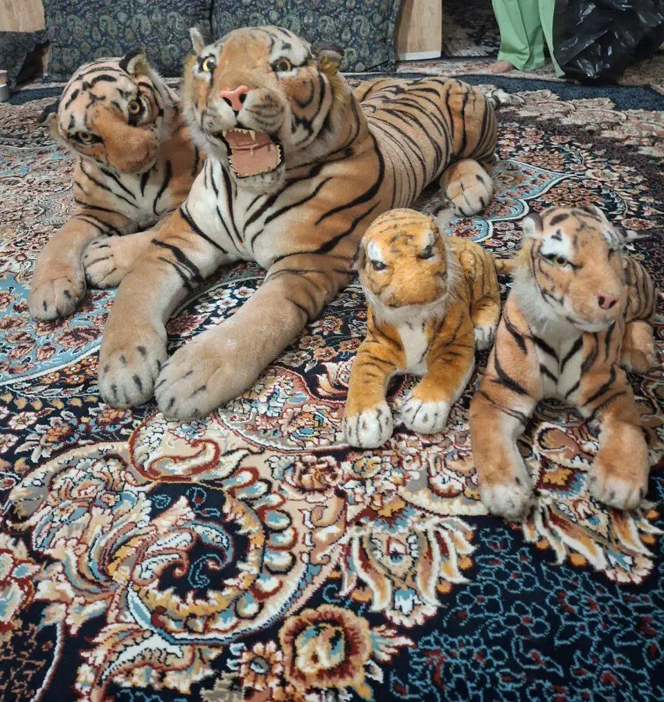 سلام ۴تا ببر|اسباببازی|تربتحیدریه, کاشانی|دیوار